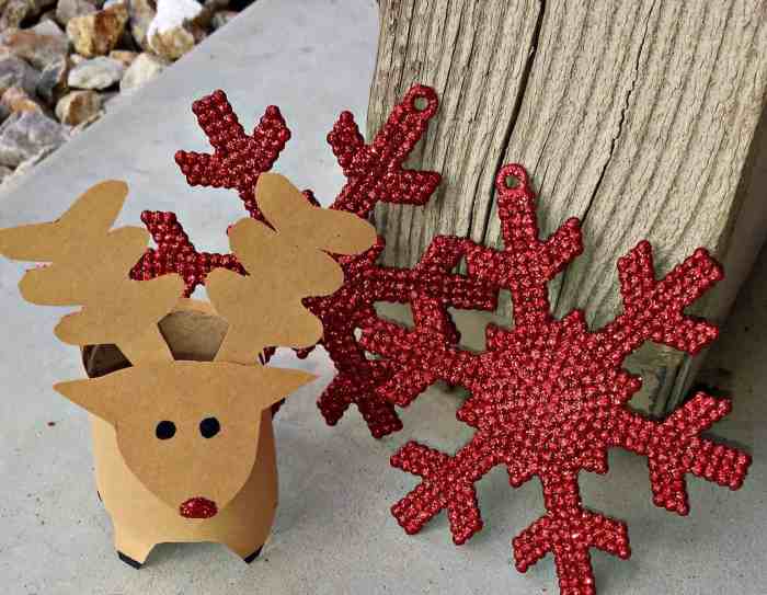 Christmas ideas decorations diy