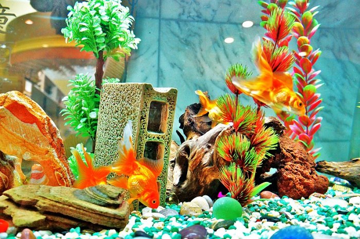 Christmas decor fish tank