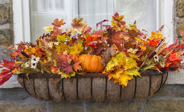 Fall decor for kitchen